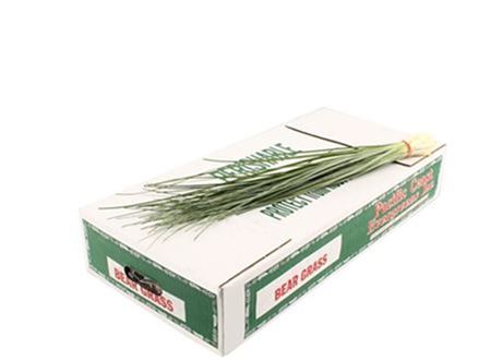 Beargrass - Beargrass per bos
