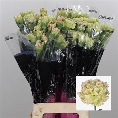 Carnation Standard Wine Cover