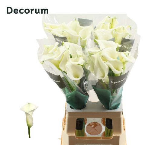 Calla Lily Crystal Blush