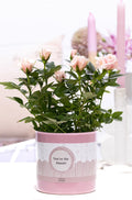 Rose Bm Licht Roze Keramiek You're The Bloom