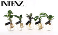 Opm Intenz Gemengd Glas Samoa