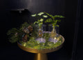 Opm Intenz X-mas Gemengd Glas Sydney