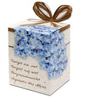 Bloembol Greengifts Vergeet Me Niet (x40)