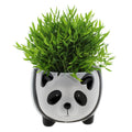 Pogonatherum Monica Keramiek Panda