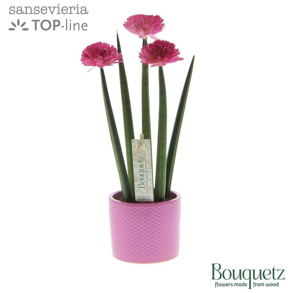 Sans Cyl Bouquetz Pink Keramiek Dots