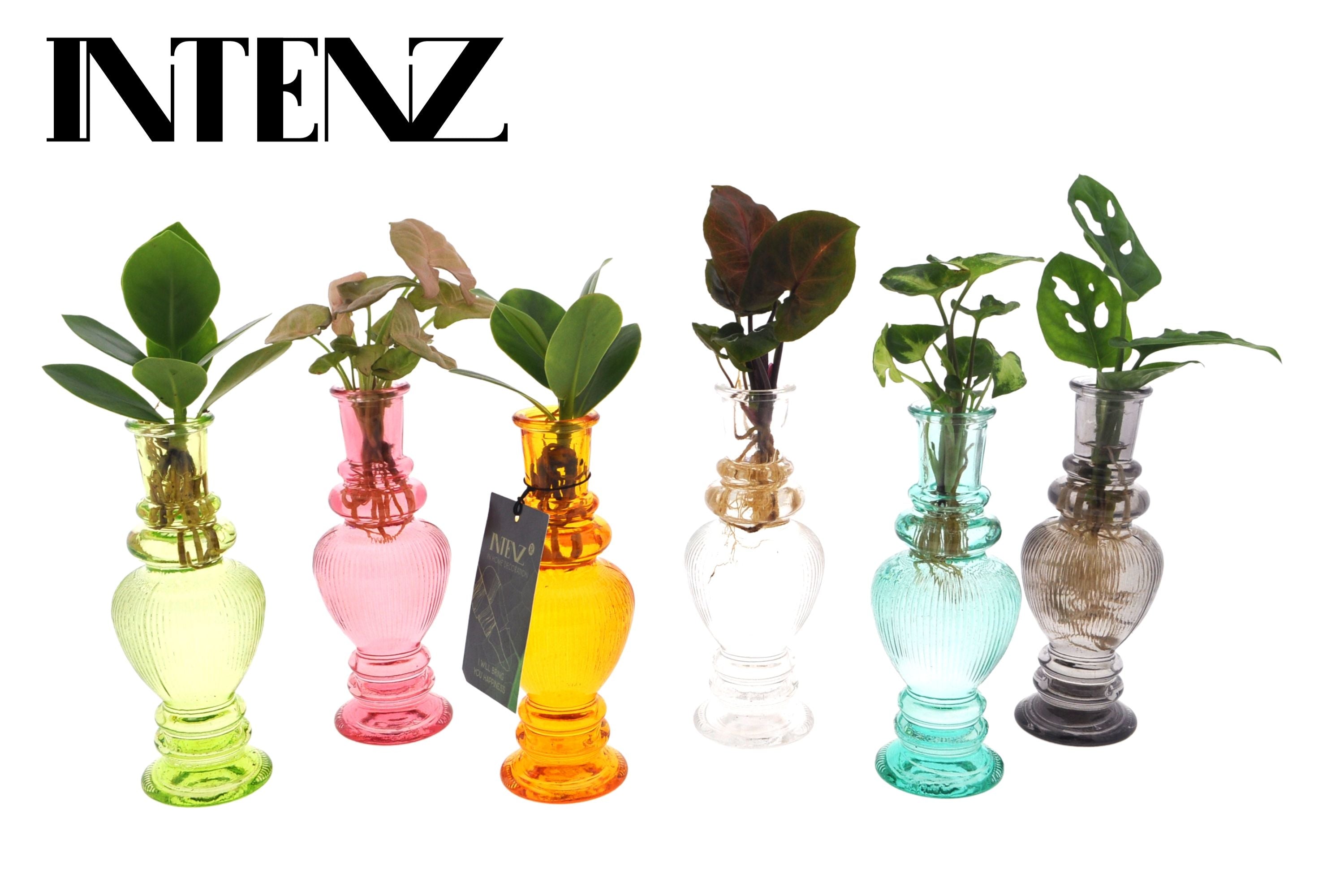 Opm Intenz Gemengd Glas Venice