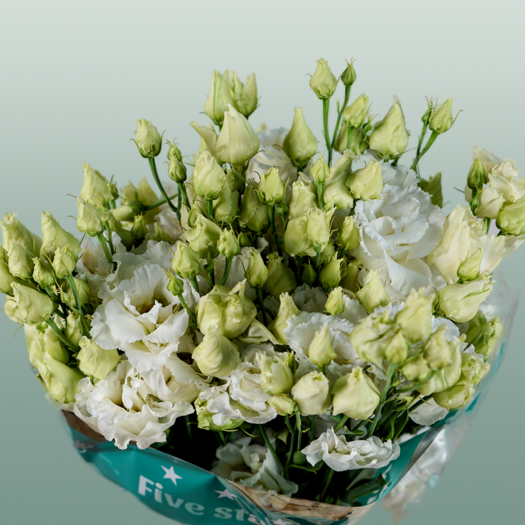 Lisianthus Alissa White