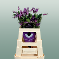 Blue Clematis ‘Amazing Rome’ – 60cm Cut Stems