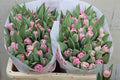 Tulip Du Endless Love