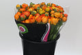 Ranunculus Orange Wholesalers Choice