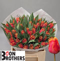 Tulip Fr Dutching