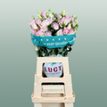 Eustoma Chac Wedding Pink