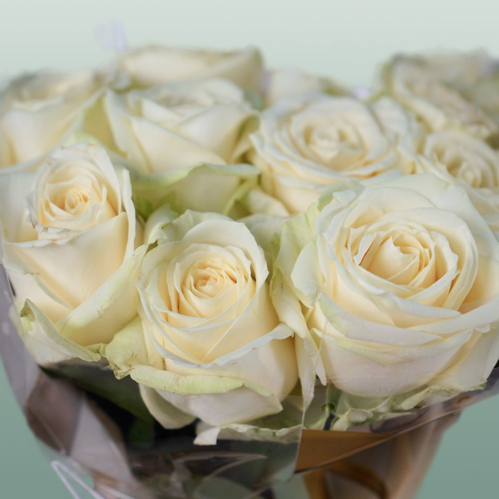 Rose Avalanche Free Choice