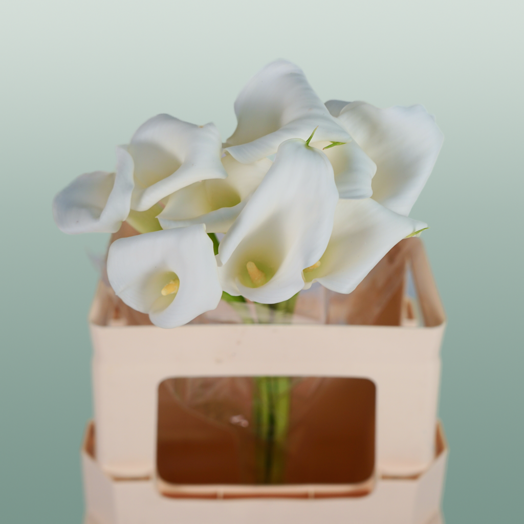 Calla Lily Crystal Blush