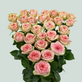 Spray Rose Fancy