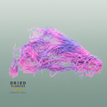 Dried Bleached Amaranthus Caudatus Neon