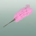 Dried Bleached Ficus Stem Pink