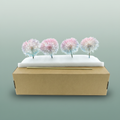 Dried Bleached Dandelion Fantasy Box