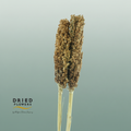 Dried Sorghum Natural