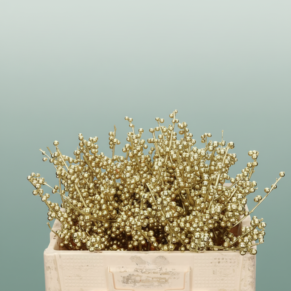 Wax Ilex Xl