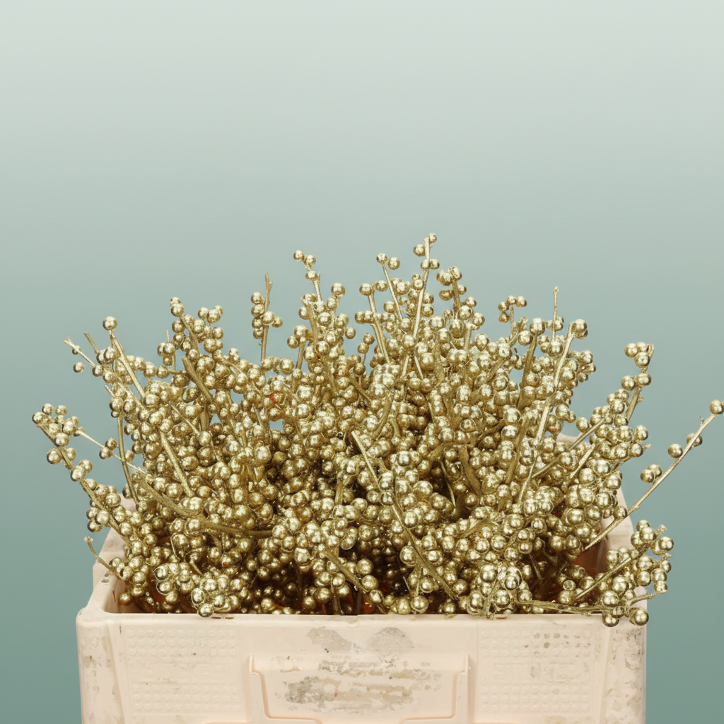 Wax Ilex Xl