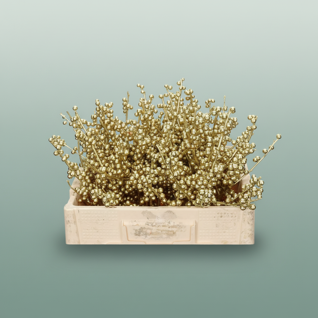 Wax Ilex Xl