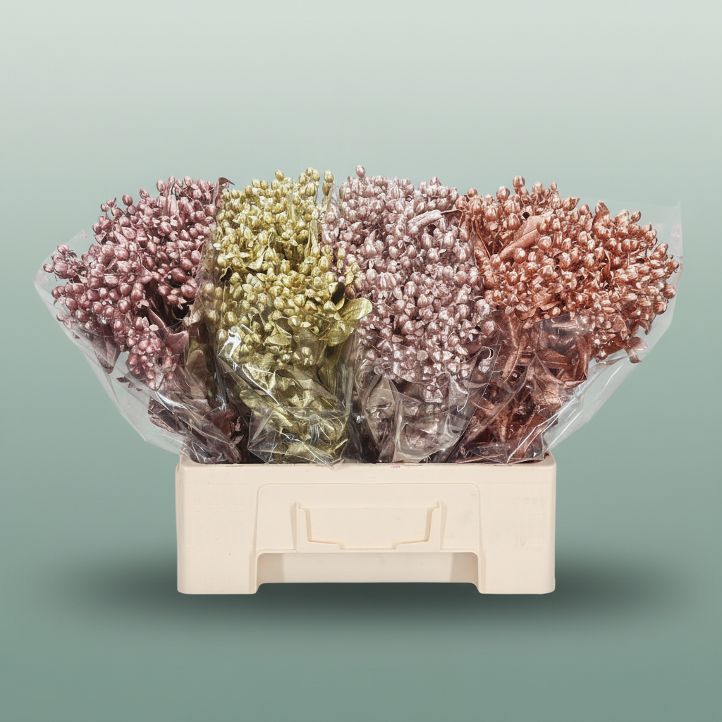Wax Hydrangea