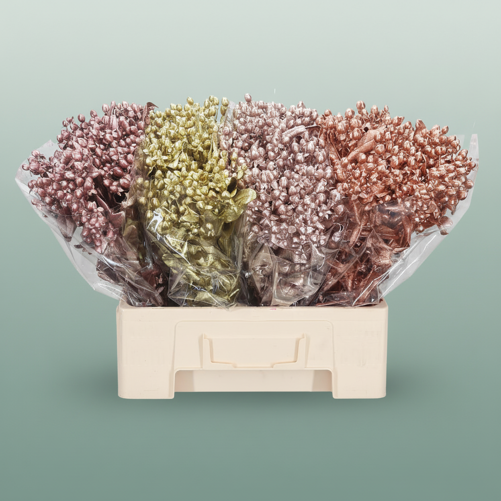 Wax Hydrangea