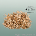 Gypsophila Dyed Salmon