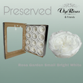 Preserved Garden Rose - Plastic