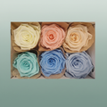 Rose Preserved Classic Mix Pastel