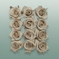 Rose Preserved Mini Sand