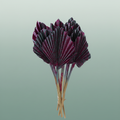 Dried Artz Palm Spear Rubens