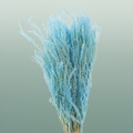 Pres Helecho Blue