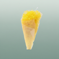 Pres Gypsophila Mini L Yellow