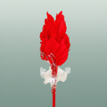 Dried Palm Spear Red