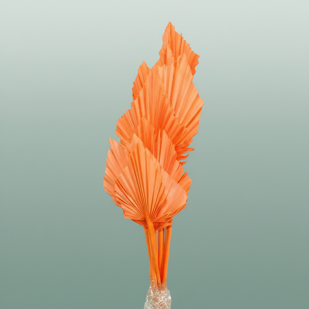 Dried Palm Spear Salmon