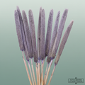 Dried Babala Milka