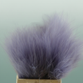 Dried Stypha Lavender