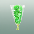 Dried Lagurus Bl Light Green