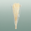 Dried Rice Grass Bleached