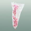 Dried Bougainvillea Pink Bunch