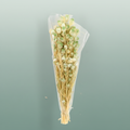 Pres Nigella Soft Green