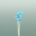 Pres Craspedia Giant L Blue