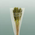 Dried Umbr. Sedge Big Leaf Green