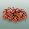 Fruit Pumpkin Mini Red