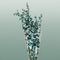 Pres Eucalyptus Baby Blue Metal Green