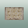 Rose Preserved Mini Ivory