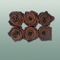 Rose Preserved Classic BRosewn