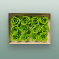 Rose Preserved Mini Green Lime